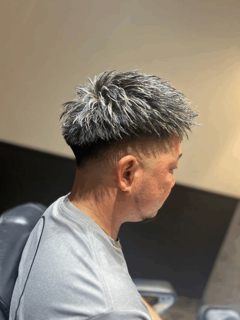 メンズメッシュ　シルバーメッシュ　白髪
